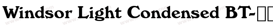 Windsor Light Condensed BT字体转换